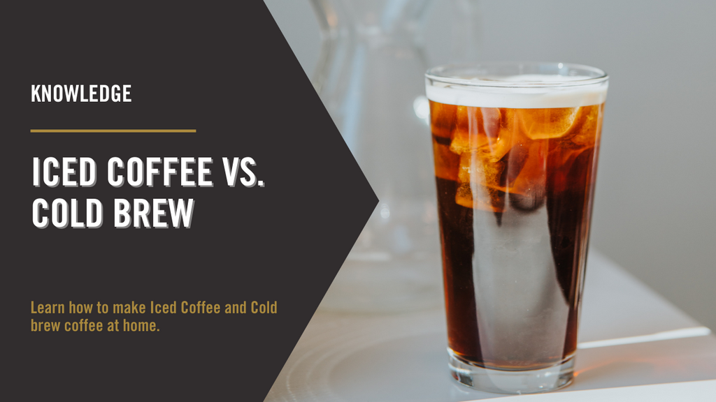 difference between cold brew and over ice ninja