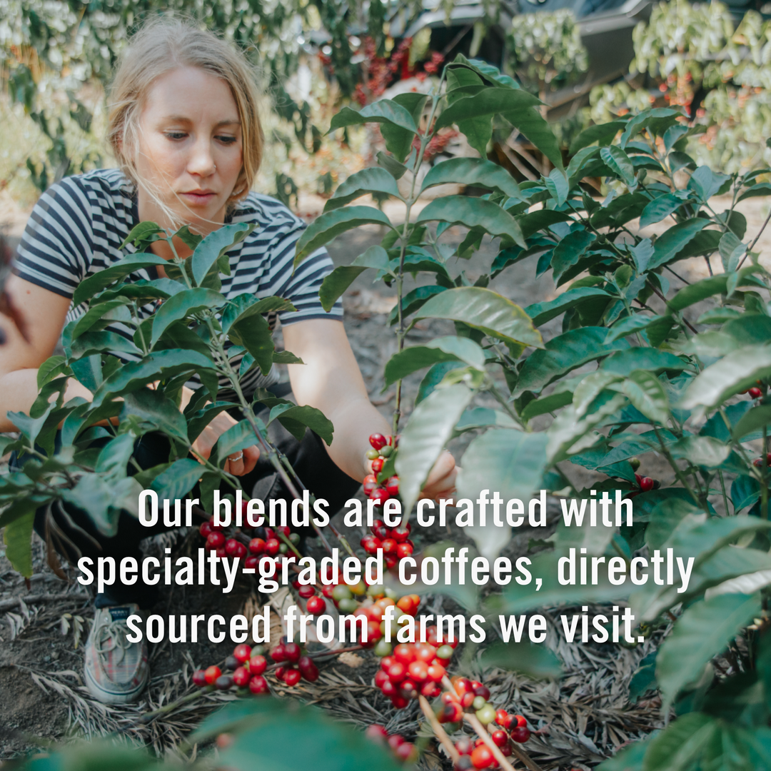 House Blend