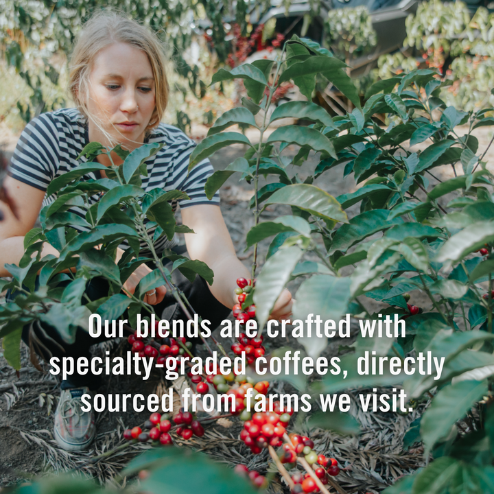 House Blend