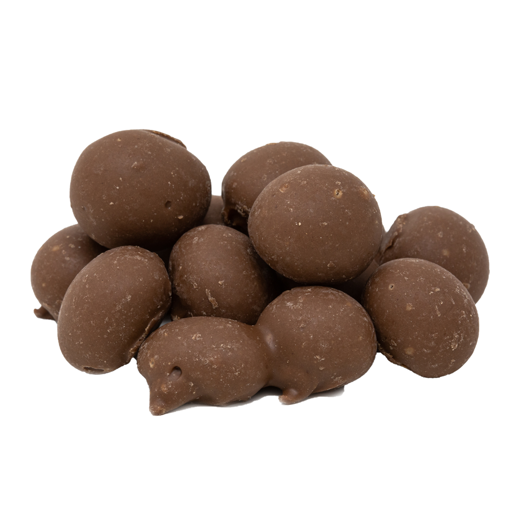 Double Dipped Chocolate Peanuts 11 oz.
