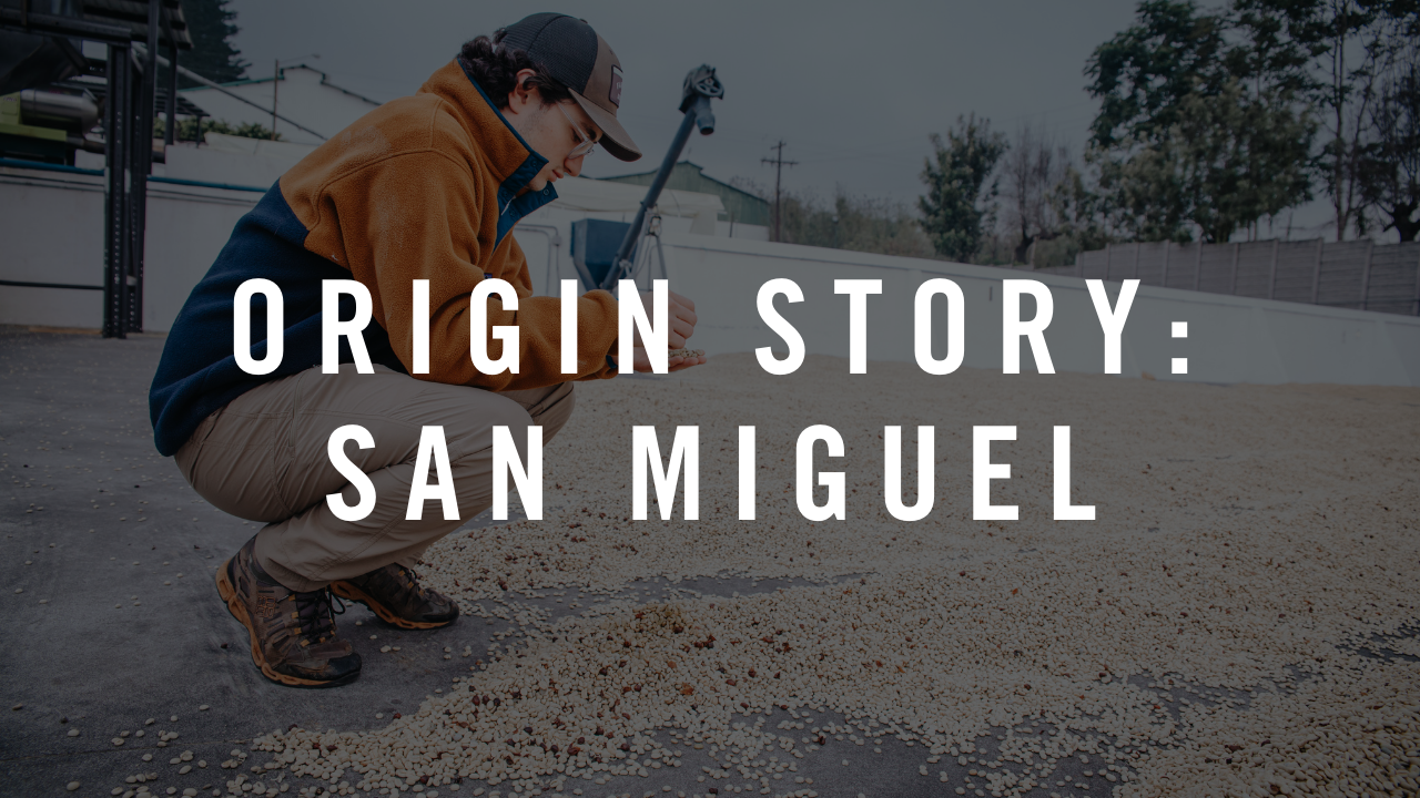 Origin Story: Guatemala