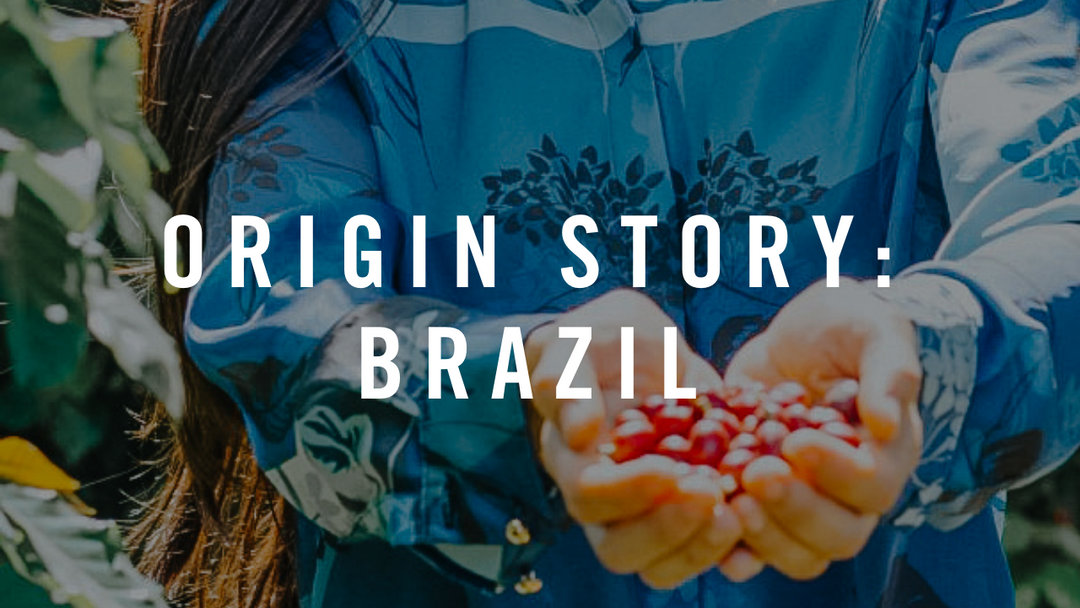 Origin Story: Brazil Santos