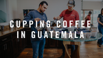 Cupping Coffees in Guatemala