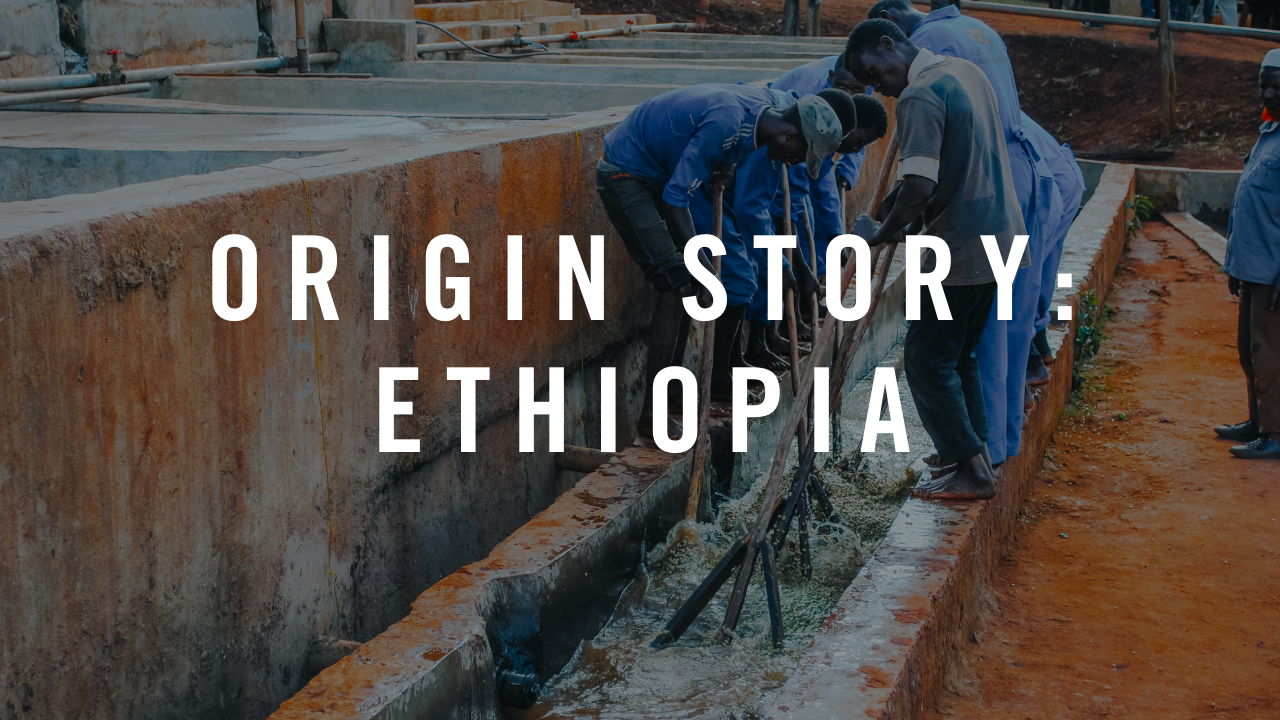 Origin Story: Ethiopia