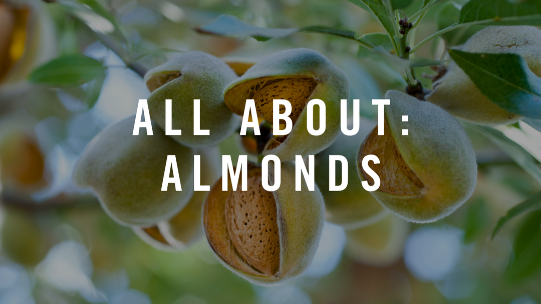 All About Almonds