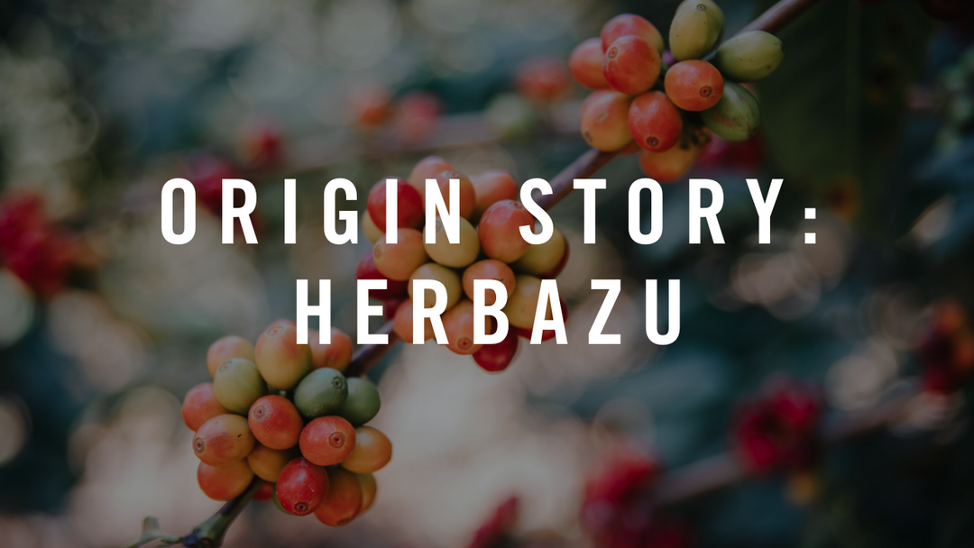 Origin Story: Herbazu