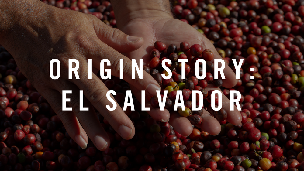 Origin Story: El Salvador & Guatemala