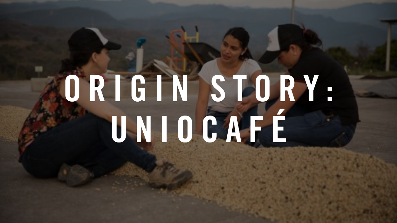 Origin Story: Honduras UNIOCAFÉ