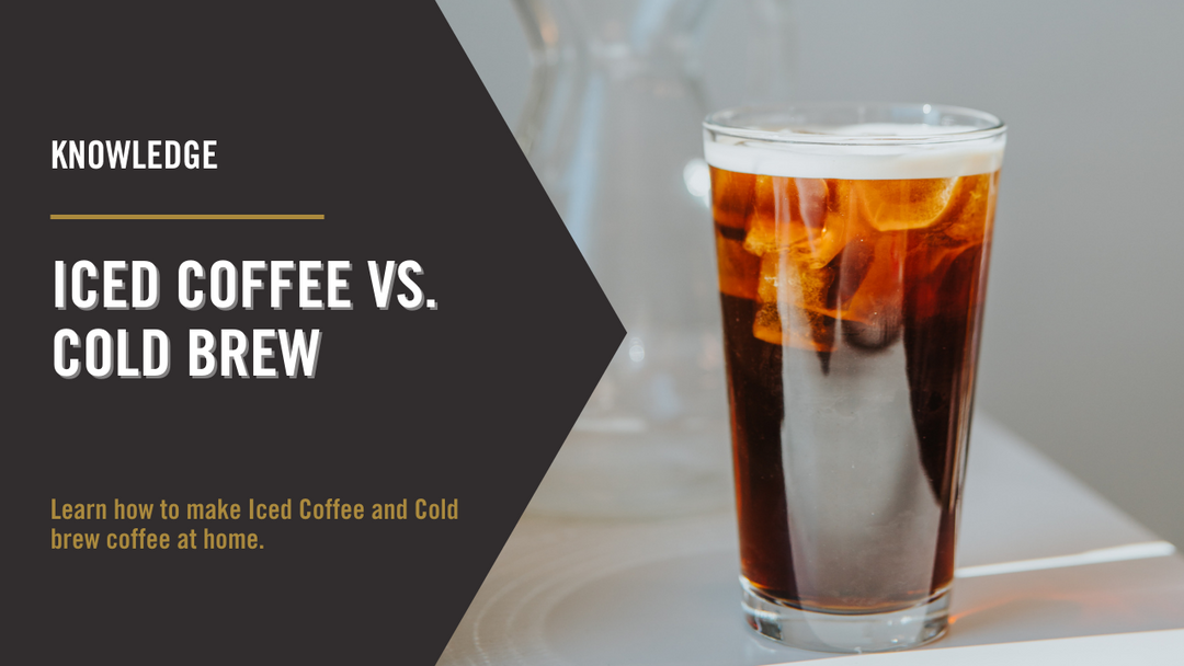 Making Iced Coffee and Cold Brew Coffee at Home