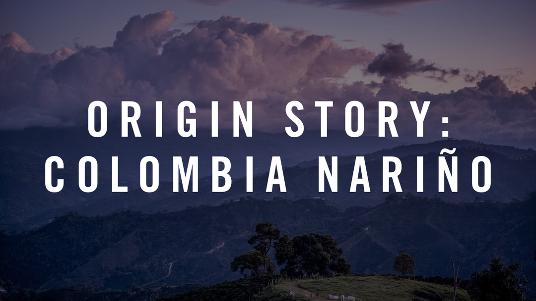 Origin Story: Colombia Nariño