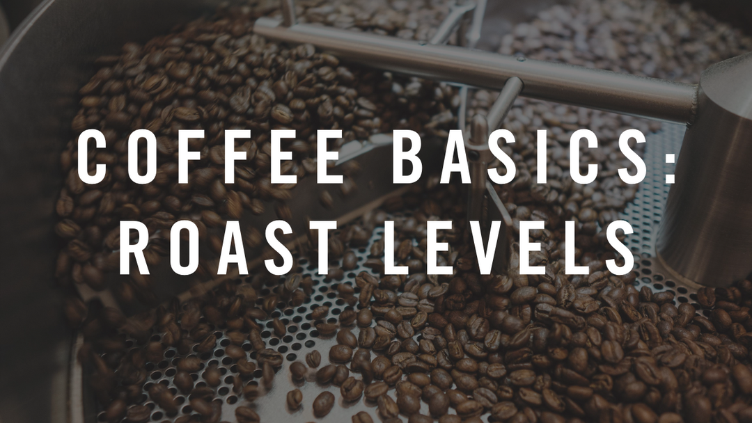 Coffee Basics: Roast Levels