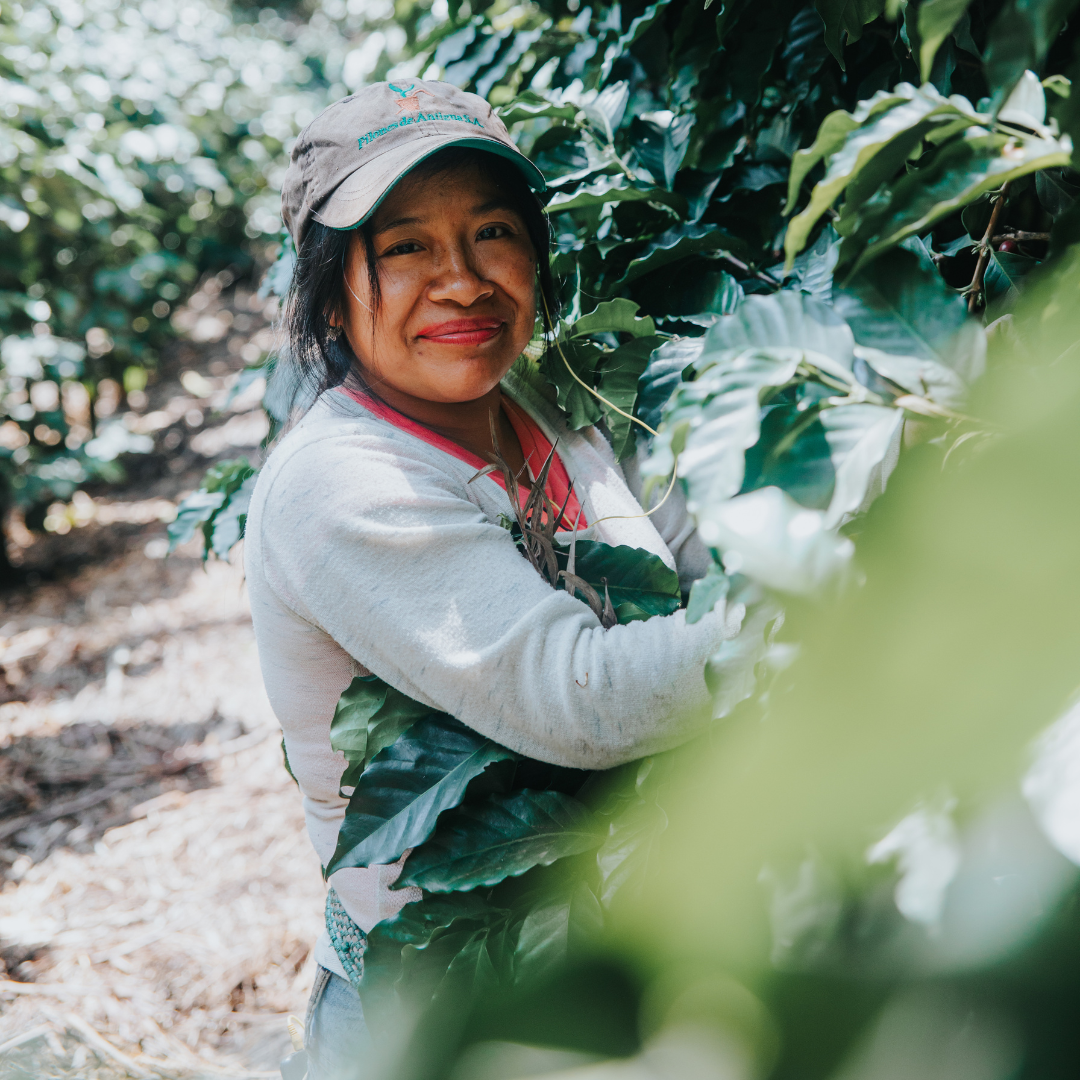 Women in Coffee