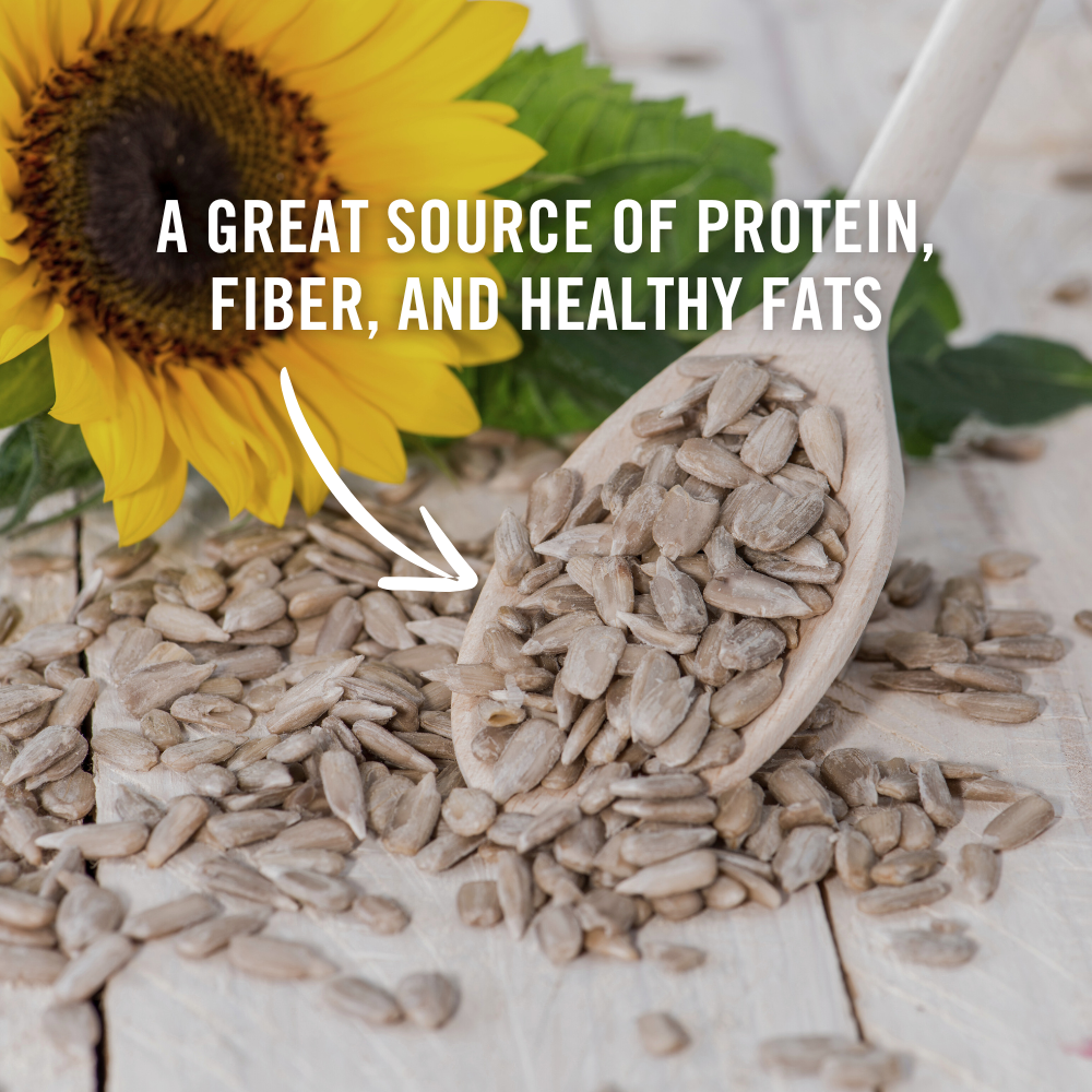 roasted sun flower seeds Roasted Sunflower Seeds