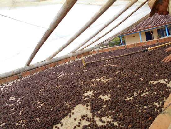 Colombia Bonito Natural