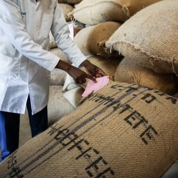 Kenya Kamwangi