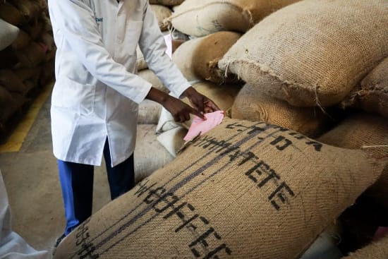 Kenya Gatomboya