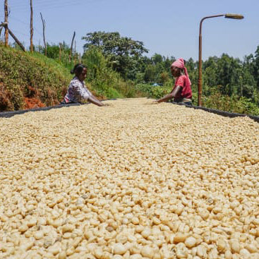 Kenya Kamwangi