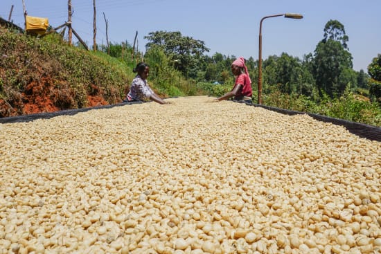 Kenya Gatomboya