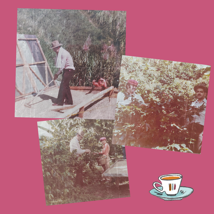 Café Femenino Colombia, 10 oz.
