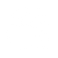 REAL INGREDIENTS, ALWAYS